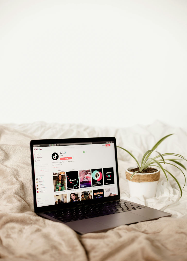 TikTok Influencer List